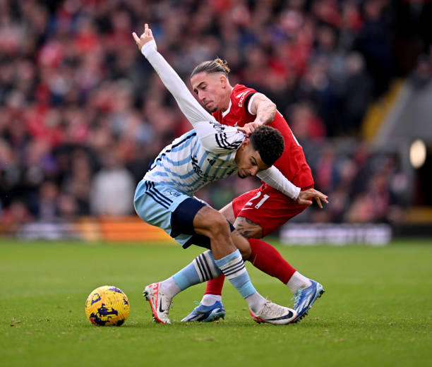 已成為歐洲 已成為歐洲