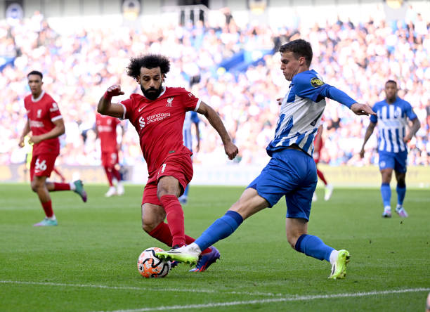 森林俱乐部 森林俱乐部